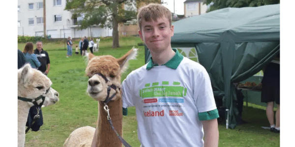 Young man and Alpaca at The Big Lunch 