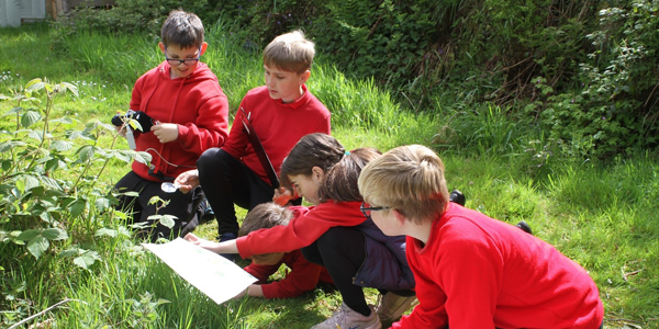 School pupils engaging in outdoor learning.