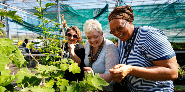 Smiling women looking at plants