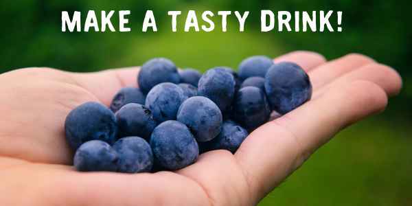 'Make a tasty drink' text with hand holding sloe berries