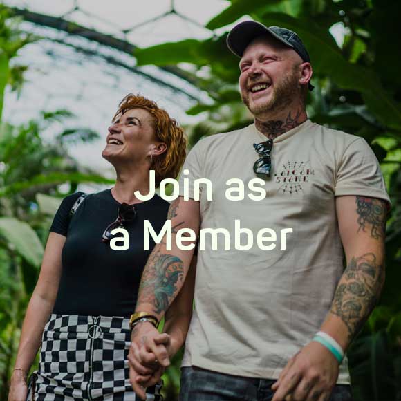 Join as a Member