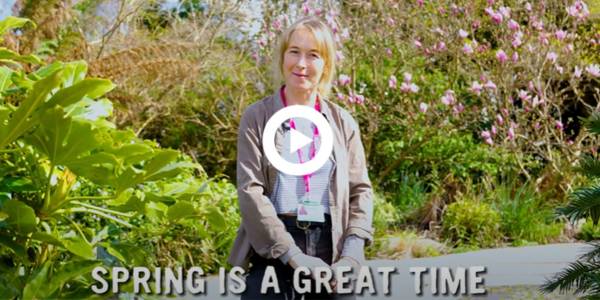 Film still showing member of Eden Project staff at Eden with text : 'Spring is a great time' and play button