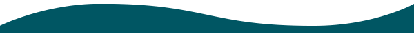 pink and teal curve divider