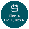 Plan a Big Lunch