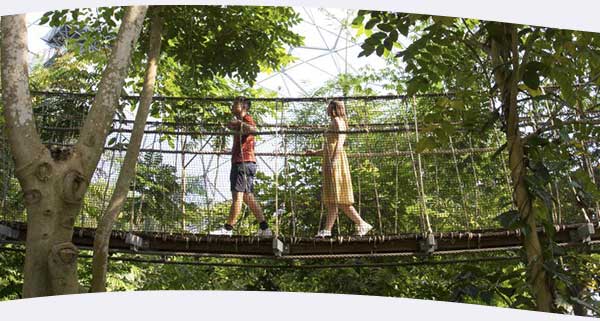 Summer at the Eden Project